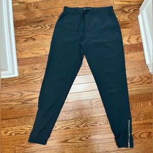 Albion Fit Jetsetter Joggers